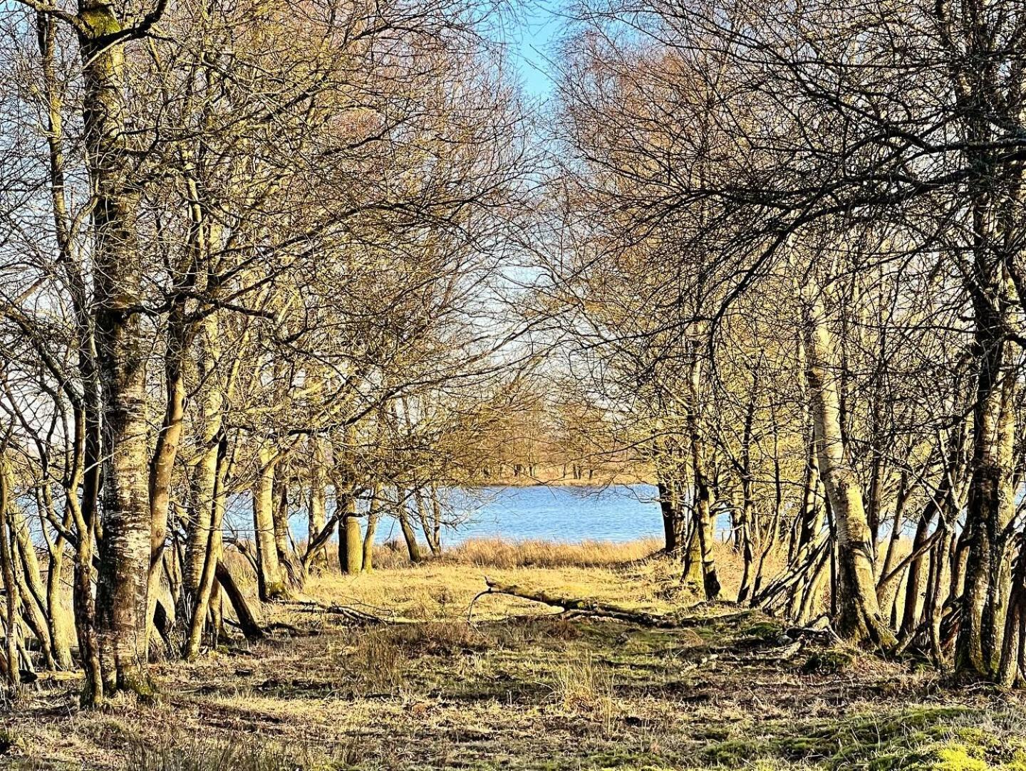Natuurhuisje Meppen מראה חיצוני תמונה